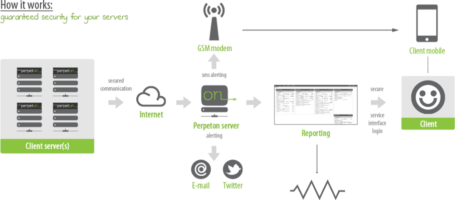 perpeton server monitor how it works